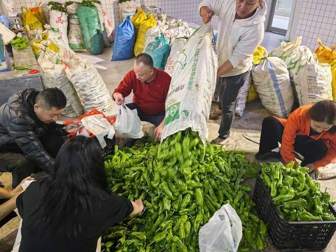 买滞销瓜赠环卫工这样的公益活动值得推广