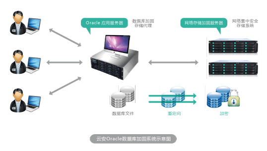 云飞酒店管理系统操作指南 新手也能快速上手