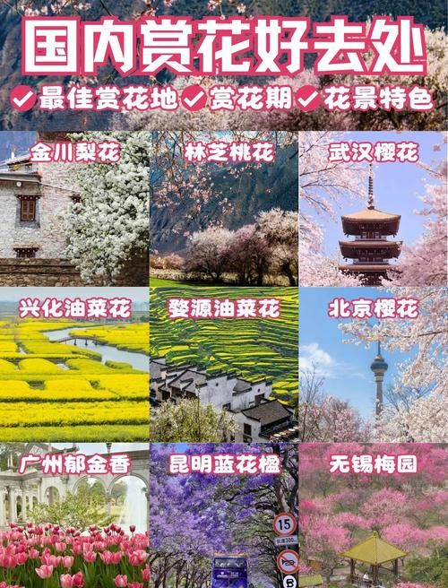 五一假期去哪玩全国赏花地图推荐热门打卡地