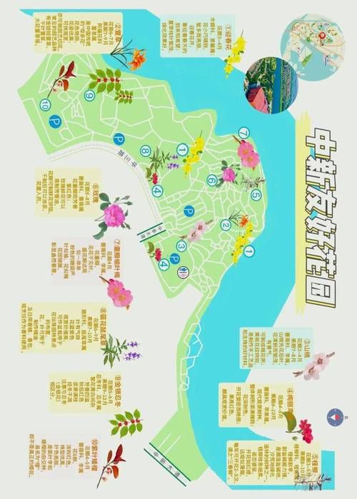 五一假期去哪玩全国赏花地图推荐热门打卡地