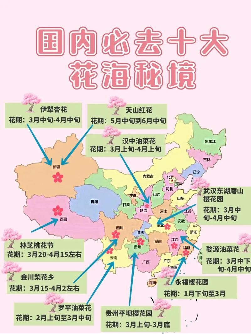 五一假期去哪玩全国赏花地图推荐热门打卡地