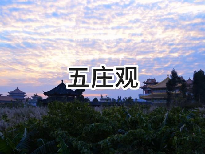 五庄观后院怎么去实用技巧与注意事项