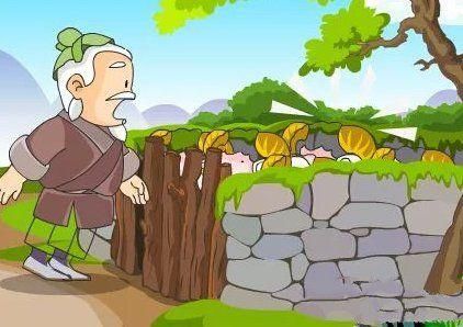 亡羊补牢蚂蚁庄园经验分享 老玩家教你少走弯路