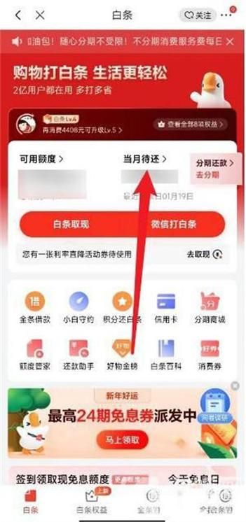 京东白条如何还款 快速解决还款问题
