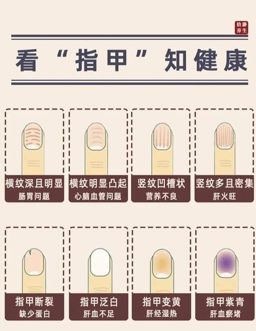 人指甲可以入药吗 这些传统用法你知道吗