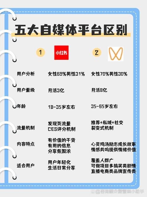 人民时评在哪里看 主流媒体平台观看指南分享