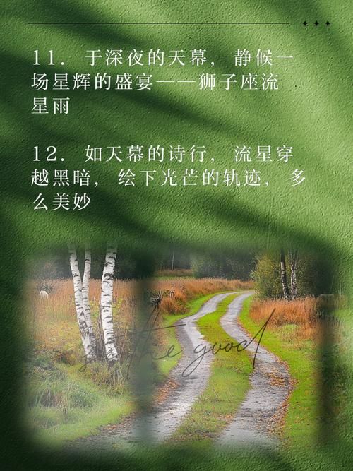 什么时候有流星雨 教你如何不错过任何一场流星雨