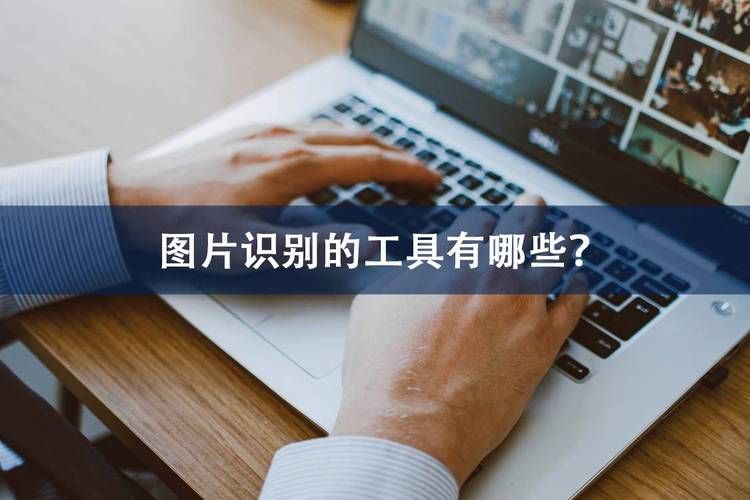 今天拍照识图了吗教你如何快速识别图片内容