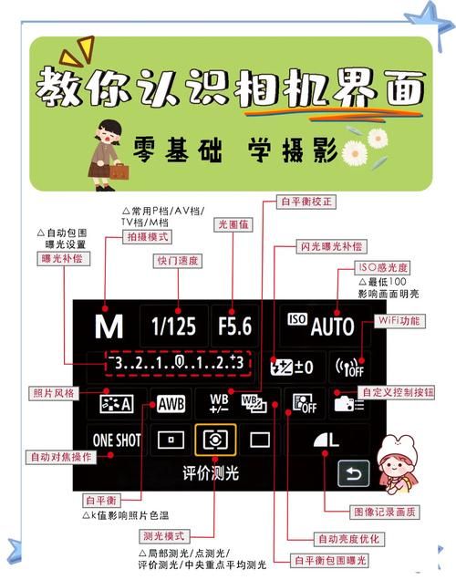 今天拍照识图了吗教你如何快速识别图片内容