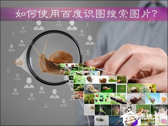 今天拍照识图了吗教你如何快速识别图片内容