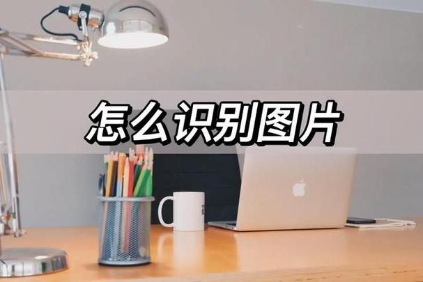 今天拍照识图了吗教你如何快速识别图片内容