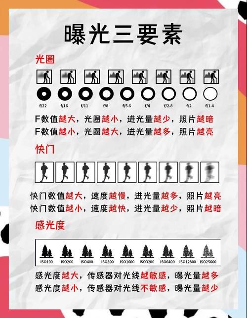 今天拍照识图了吗教你如何快速识别图片内容