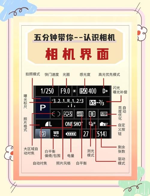 今天拍照识图了吗教你如何快速识别图片内容