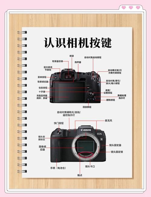 今天拍照识图了吗教你如何快速识别图片内容