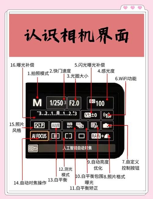 今天拍照识图了吗教你如何快速识别图片内容