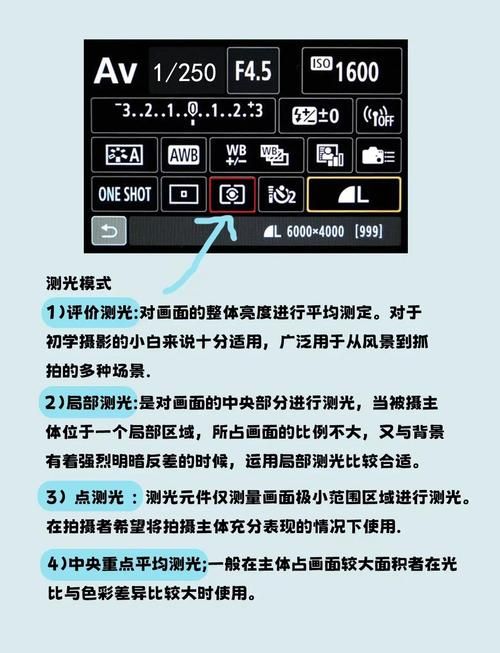 今天拍照识图了吗教你如何快速识别图片内容