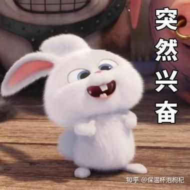 今年51怎么放假最划算这份拼假指南请收好