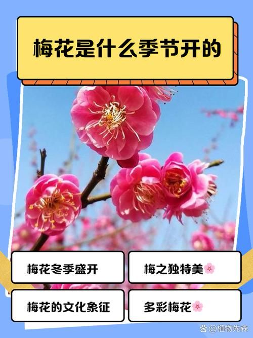 今年什么时候出梅结束 各地出梅时间表一览