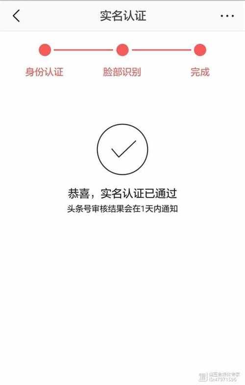 今日头条身份认证怎么弄 详细步骤教你快速完成