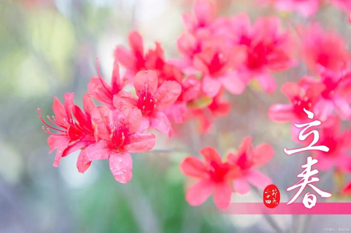 今日立春几点几分立春时辰查询方法分享