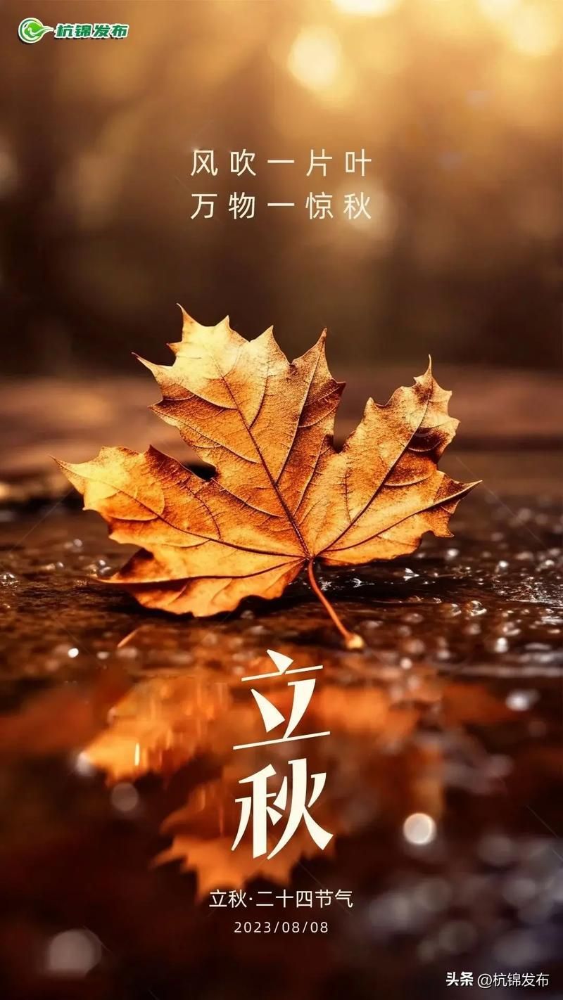 今日立秋几点几分今年立秋时间抢先看