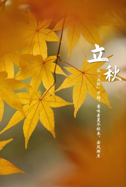 今日立秋几点几分今年立秋时间抢先看