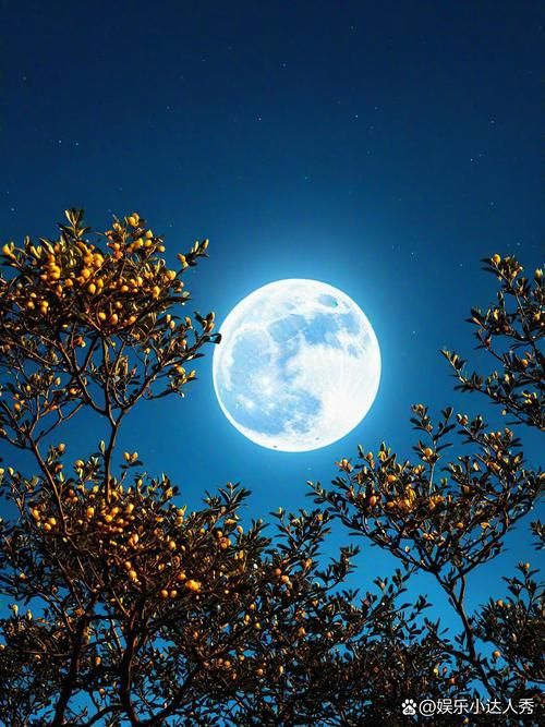 今晚的月色好美啊 原来赏月有这么多讲究