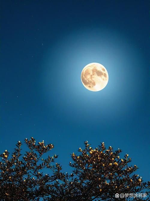 今晚的月色好美啊 原来赏月有这么多讲究