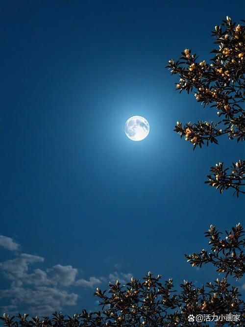 今晚的月色好美啊 原来赏月有这么多讲究