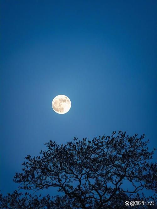今晚的月色好美啊 原来赏月有这么多讲究