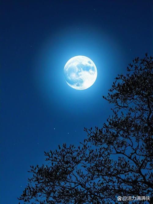今晚的月色好美啊 原来赏月有这么多讲究