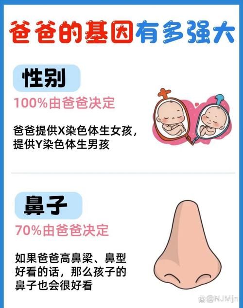从父母基因看如何预测宝宝未来长相