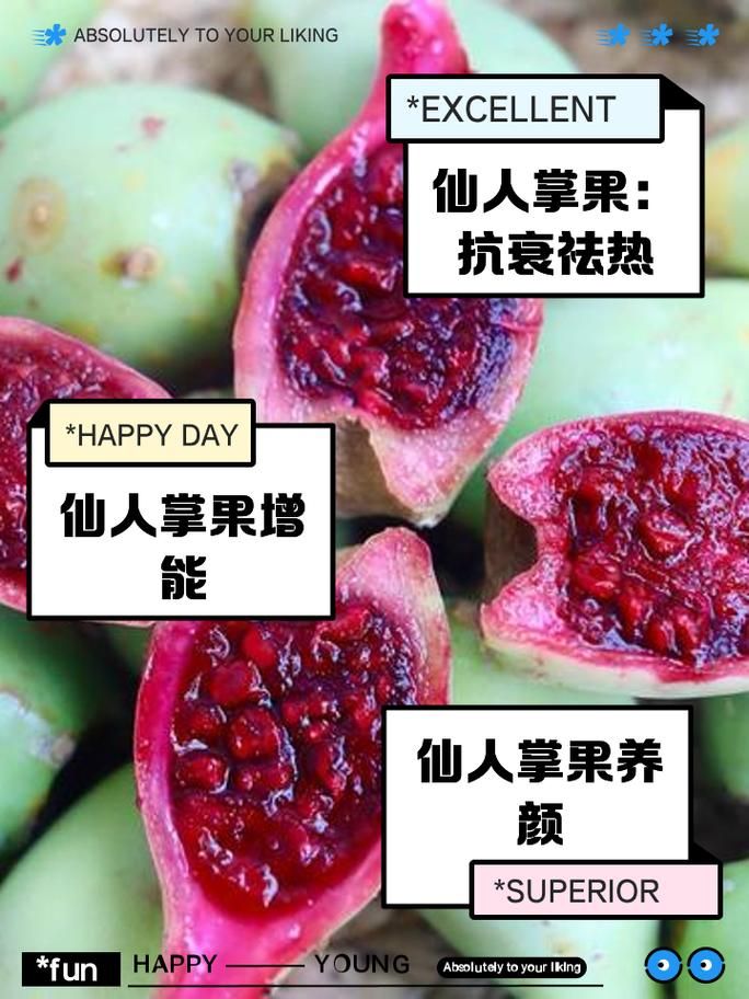 仙人掌果实的作用与功效 吃仙人掌果实对身体有什么好处