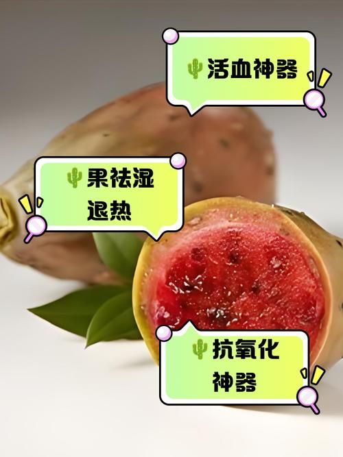 仙人掌果实的作用与功效 吃仙人掌果实对身体有什么好处