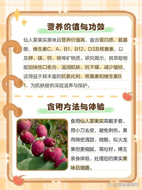 仙人掌果实的作用与功效 吃仙人掌果实对身体有什么好处