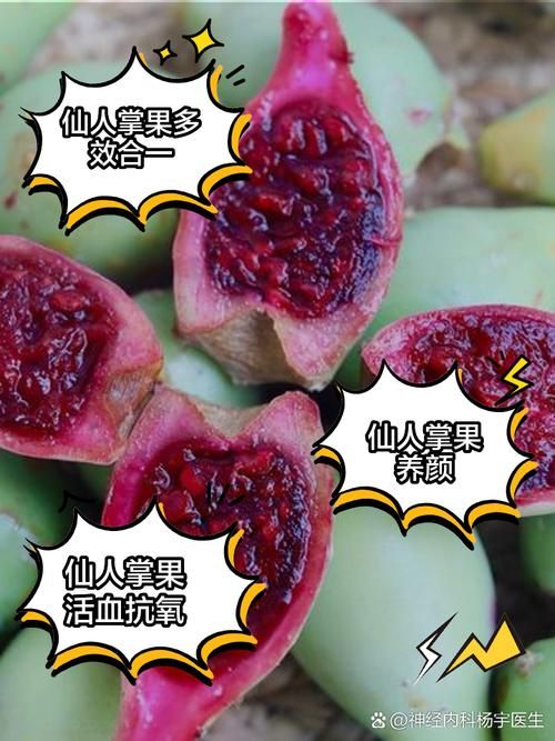 仙人掌果实的作用与功效 吃仙人掌果实对身体有什么好处