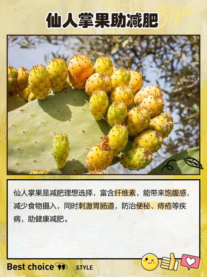 仙人掌果实的作用与功效 吃仙人掌果实对身体有什么好处