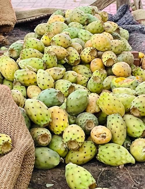 仙人掌果实的作用与功效 吃仙人掌果实对身体有什么好处