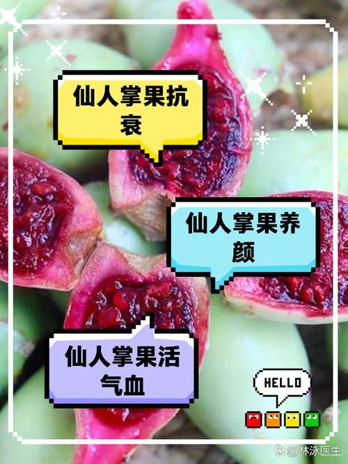 仙人掌果实的作用与功效 吃仙人掌果实对身体有什么好处