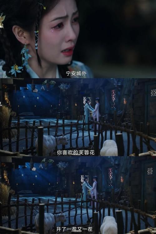 仙落凡尘神秘昙花之谜 夜间绽放的绝世奇观