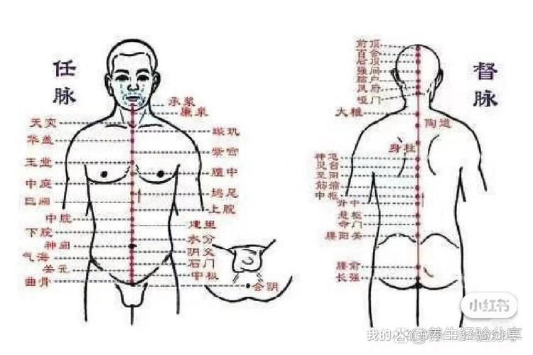 任督二脉如何打通 初学者必看的实用方法指南