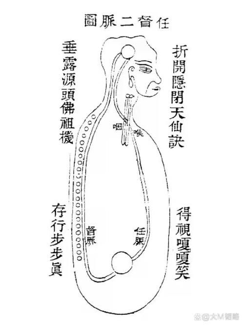 任督二脉如何打通 初学者必看的实用方法指南