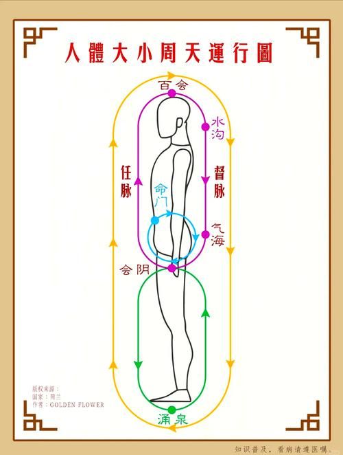 任督二脉如何打通 初学者必看的实用方法指南