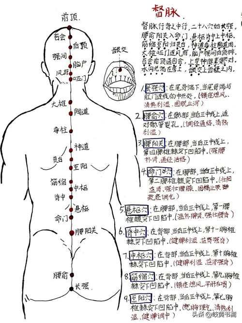 任督二脉如何打通 初学者必看的实用方法指南