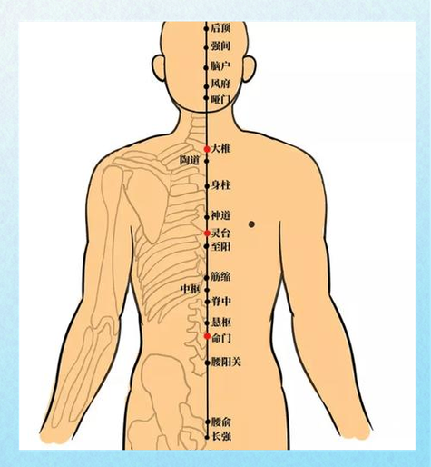 任督二脉如何打通 初学者必看的实用方法指南
