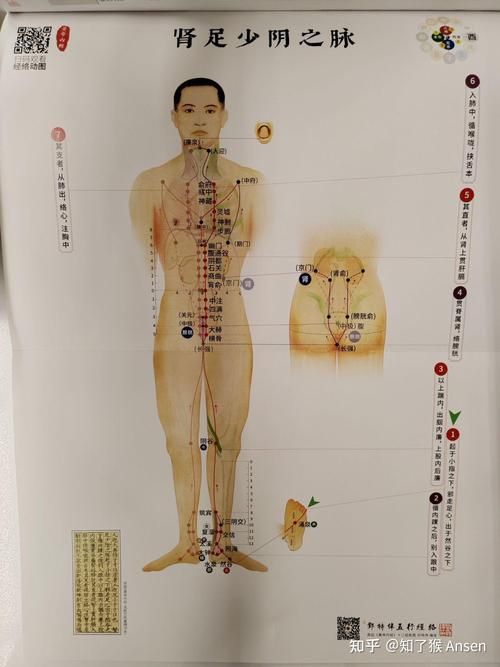 任督二脉怎么打通 每天五分钟轻松疏通经络