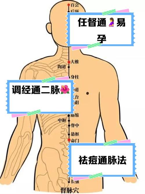 任督二脉怎么打通 每天五分钟轻松疏通经络