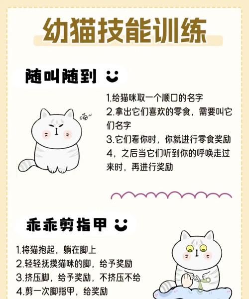 伊利亚的宠物手册分享宠物训练的小技巧