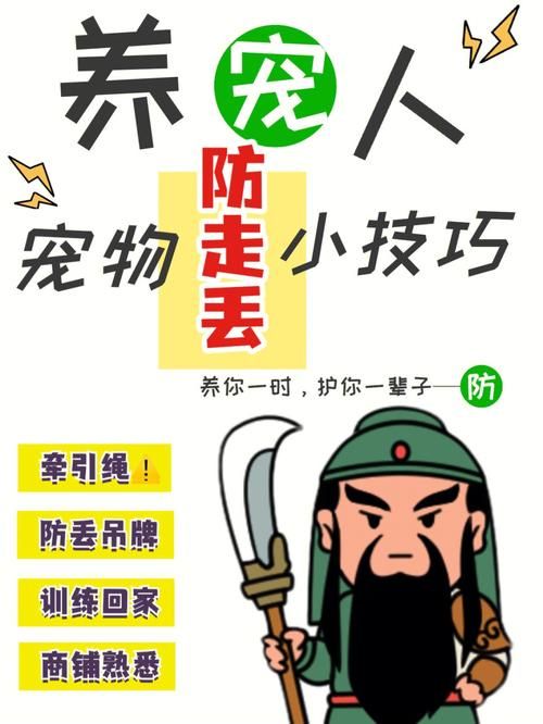 伊利亚的宠物手册分享宠物训练的小技巧