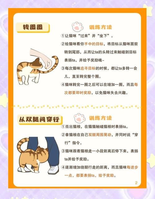 伊利亚的宠物手册分享宠物训练的小技巧